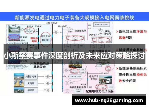 小斯禁赛事件深度剖析及未来应对策略探讨