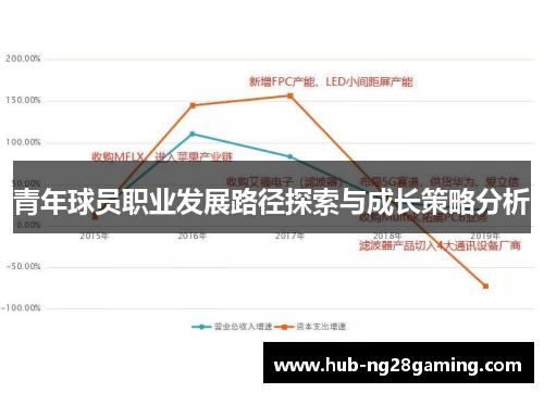 青年球员职业发展路径探索与成长策略分析