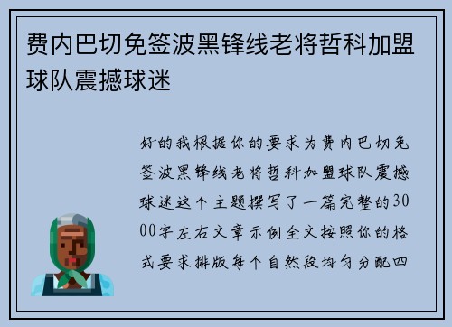 费内巴切免签波黑锋线老将哲科加盟球队震撼球迷 费内巴切免签波黑锋线老将哲科加盟球队震撼球迷